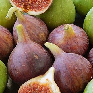 Organic Figs